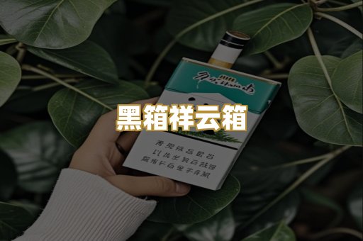 黑箱祥云箱